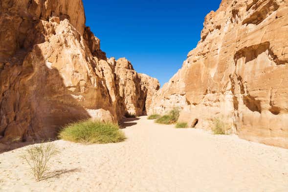 Tour de 4x4 pelo White Canyon e Ain Khunra