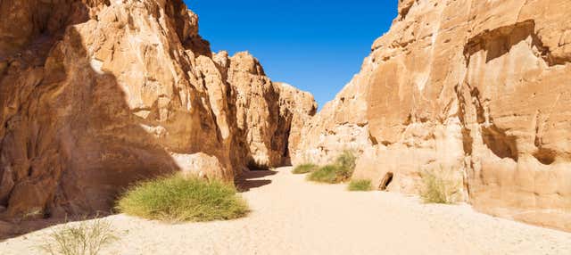 Tour de 4x4 pelo White Canyon e Ain Khunra